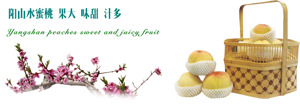 煙臺恒鑫化工辦公大樓